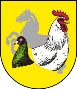 KV Südharz-Jubiläumsschau