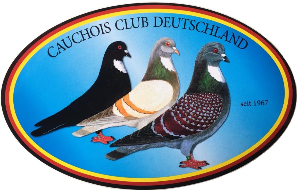 Jungtierschau des Cauchois Club Deutschland